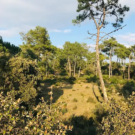 Des Tamaris, 200m De La Saint-Jean-de-Monts
